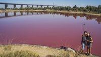 Foto: Danau Pink yang Cantik, Tapi Jangan Disentuh