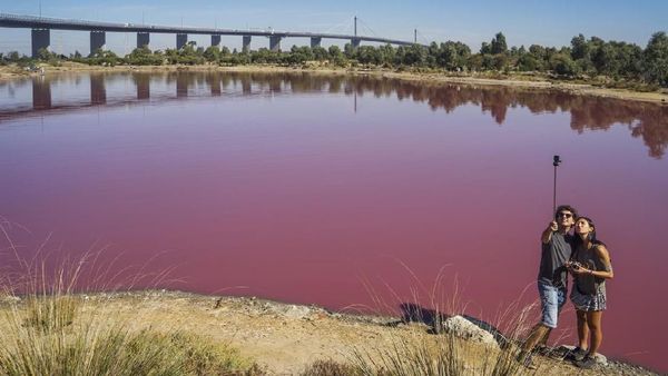 Foto: Danau Pink yang Cantik, Tapi Jangan Disentuh