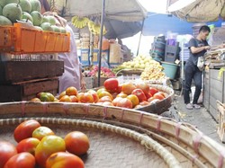 Harga Tomat Melonjak, Tukang Jus Biasanya Beli 5 Kg Kini 2 Kg
