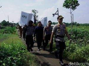 Panggul Kotak Suara Susuri Hutan Bakau Demi Semua Bisa Berpesta Panggul Kotak Suara Susuri Hutan Bakau Demi Semua Bisa Berpesta