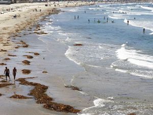 Demi Go Green, Hotel di California Larang Botol Shampo Plastik Demi Go Green, Hotel di California Larang Botol Shampo Plastik