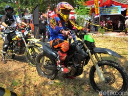 14 Anggota Klub Motor Hilang di Hutan Sumatera-Nasib Sarang Ular Surabaya