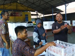 Pulang Nyoblos, Warga di Ciamis Dihadiahi Sekantong Cabai Rawit