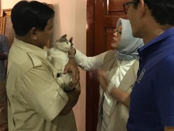 Prabowo Ajak Bobby The Cat Cek Sandiaga yang Cegukan