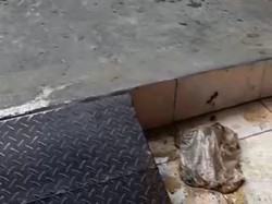 Polisi Periksa Saksi Terkait Pelemparan Kotoran di Rumah di Tambora