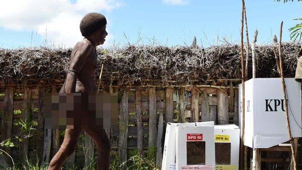 Intip Pemungutan Suara di Wamena Papua