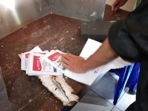 Pemilih Bakar Surat Suara, KPU DIY: Kesehatan Jiwanya Perlu Diperiksa