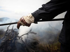 Pesta Barbeku hingga Picu Kebakaran Hutan, 2 Mahasiswa Didenda Rp 420 M