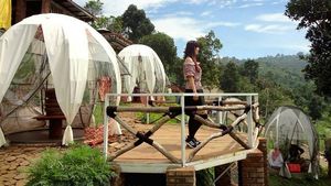 8 Kafe Unik di Bandung, Ada yang Pakai Kardus Hingga Igloo