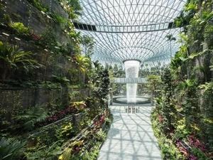 Hanya di Singapura, Bandara dengan 2.000 Pohon