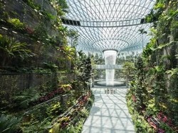 Hanya di Singapura, Bandara dengan 2.000 Pohon