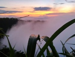 Long Weekend Ini, Nikmati Pagi di Kebun Buah Mangunan