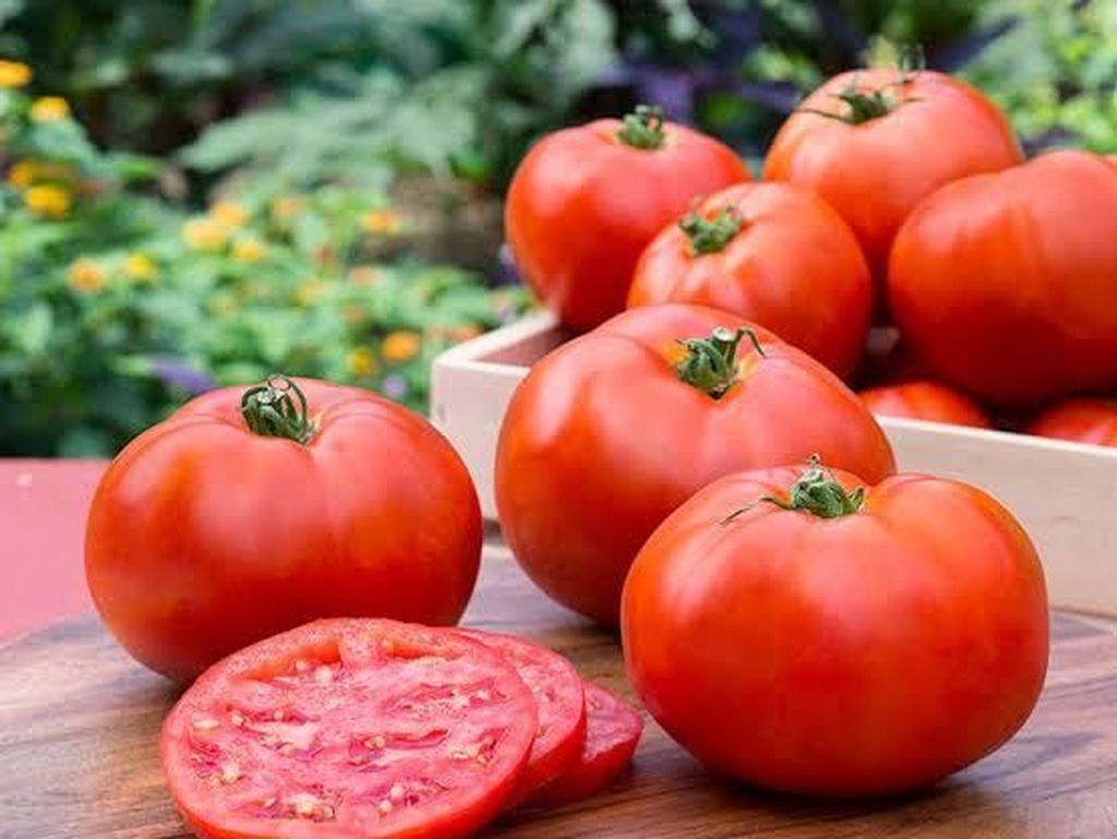 YouTuber Ini Coba Diet Aneh, Hanya Makan Tomat Selama Seminggu