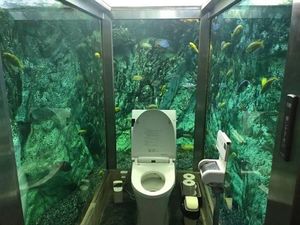 Kamu Pasti Nggak Percaya, Ini Toilet di Dalam Akuarium