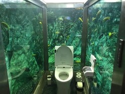 Kamu Pasti Nggak Percaya, Ini Toilet di Dalam Akuarium
