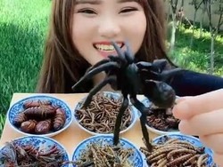 Hii Ngeri! Ratu Serangga Ini Santap 8 Jenis Serangga Sekaligus