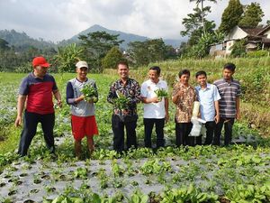 Kementan Genjot Pengembangan Sentra Sayuran Organik di Karanganyar