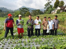 Kementan Genjot Pengembangan Sentra Sayuran Organik di Karanganyar