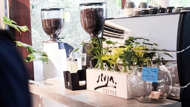 Stuja Coffee