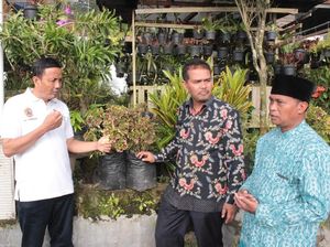 Desa Nglurah di Jateng Jadi Sentra 130 Jenis Tanaman Hias