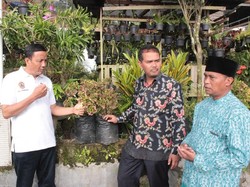 Desa Nglurah di Jateng Jadi Sentra 130 Jenis Tanaman Hias