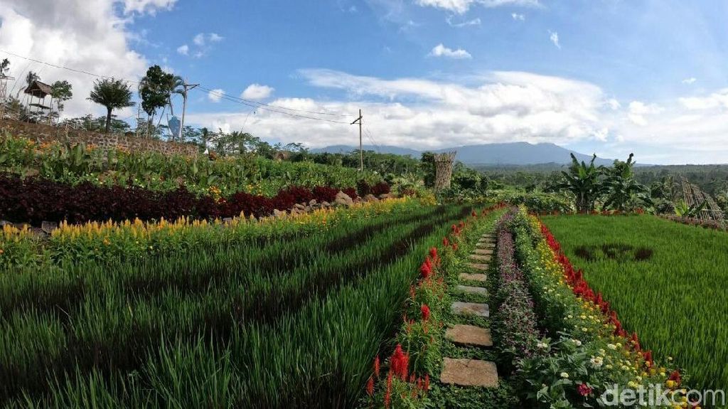 Tempat Wisata Baru di Banyuwangi yang Instagramble