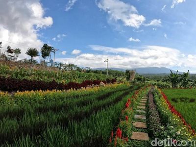Tempat Wisata Baru di Banyuwangi yang Instagramble