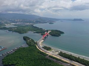 Jokowi Bagikan Lahan Nganggur, Paling Banyak di Papua