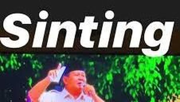 Ini Postingan Berbahaya Erin Taulany yang Dinilai Hina Prabowo