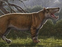 Fosil Singa Raksasa Ditemukan di Laci Sebuah Museum di Kenya