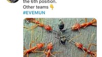 Pada musim ini, MU seakan terpaku di posisi keenam. Meme ini olok-olokannya. (Foto: dok.Istimewa)
