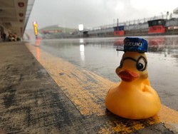 Maskot Tim MotoGP Suzuki di Kala Hujan Datang