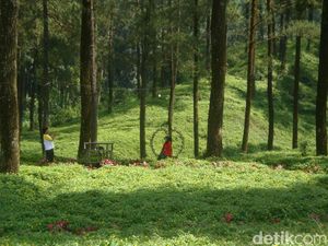 10 Tempat Wisata di Purwokerto yang Bernuansa Alam, Cocok untuk Melepas Penat 10 Tempat Wisata di Purwokerto yang Bernuansa Alam, Cocok untuk Melepas Penat