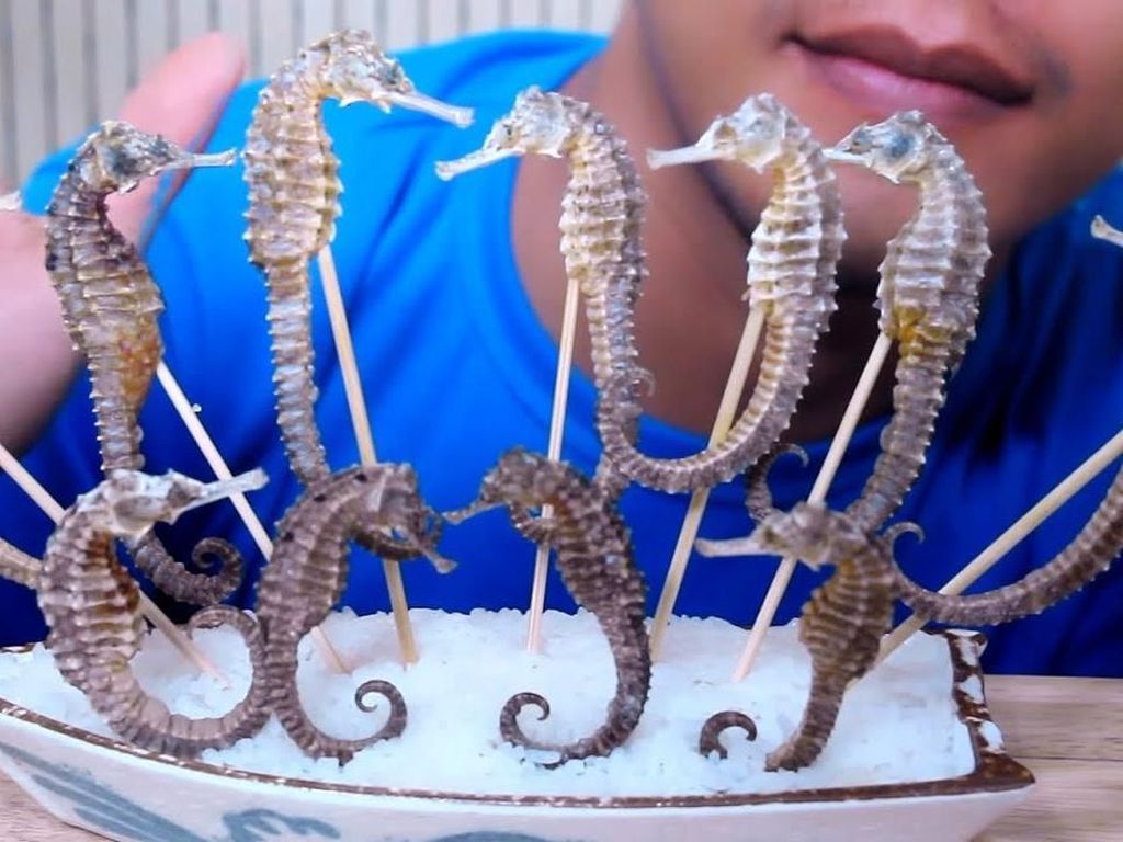 Waduh! Biar Eksis, Pria Ini Santap Kuda Laut Panggang Waduh! Biar Eksis, Pria Ini Santap Kuda Laut Panggang