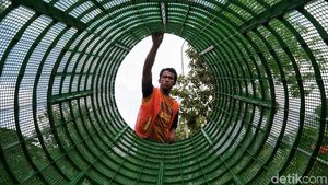 Cara Unik Pemprov DKI Cegah Banjir Lewat Gerakan Menabung Air Hujan