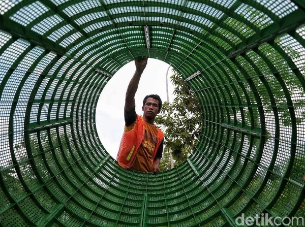 Cara Unik Pemprov DKI Cegah Banjir Lewat Gerakan Menabung Air Hujan