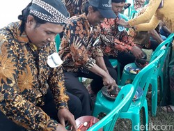 Meriahnya Hari Kartini di Desa Terpencil Tegal, Lomba Dandan sampai Ngulek
