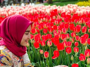 Foto: Cantiknya Ayu Tingting di Taman Bunga Tulip Turki Foto: Cantiknya Ayu Tingting di Taman Bunga Tulip Turki