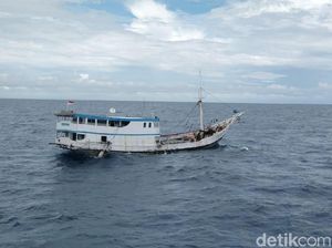 978 Batang Kayu Merbau Ilegal Diamankan di Sulsel