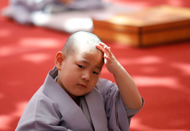 Berita Ekspresi Gemas Para Biksu Cilik Sambut Waisak di Korea Selatan Rabu 22 Mei 2019 Berita Ekspresi Gemas Para Biksu Cilik Sambut Waisak di Korea Selatan Rabu 22 Mei 2019