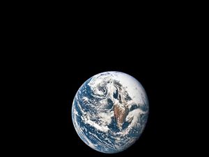 Gawat! Kepunahan Massal Bumi Sedang Berlangsung