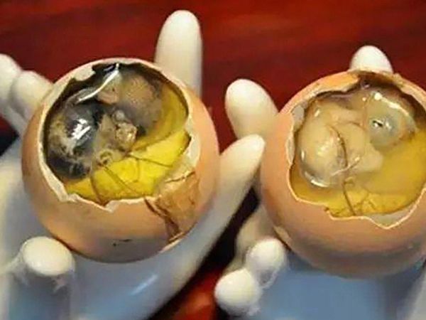 Bola Mata Babi Panggang hingga Telur Rebus Urin, Ini 10 Makanan Ekstrim China