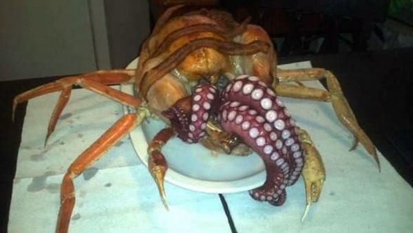 Foto-foto Makanan Aneh Ini Dijamin Bikin Nafsu Makan Jadi Hilang!