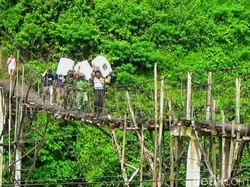 Kisah Petugas Pemilu di Bondowoso: Dikejar Kobra hingga Masuk Rumah Sakit