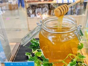 Bandara di Pulau Terpencil Jepang Ini Sajikan Madu Kualitas Terbaik