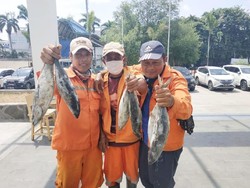 Bisa Tukar Sampah dengan 1 Kilo Ikan di Pasar Muara Baru