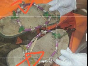 Bukan Mutilasi, Ini Fakta-fakta Temuan Kerangka Manusia di Tangerang