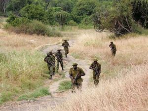 6 Penjaga Taman Virunga Kongo Tewas Diserang Kelompok Bersenjata 6 Penjaga Taman Virunga Kongo Tewas Diserang Kelompok Bersenjata