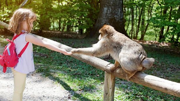 Girl feeding monkey