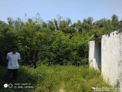 Kampung di Probolinggo Ini Sunyi Usai Serangan Monyet Liar